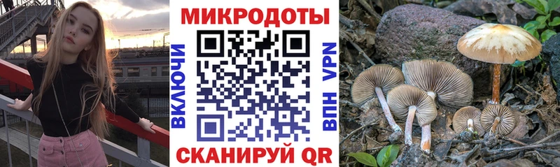 Галлюциногенные грибы мицелий  shop клад  Няндома  KRAKEN зеркало 